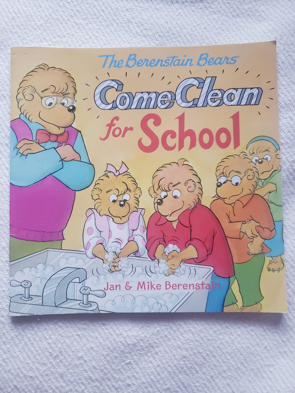 The Berenstain Bears Come Clean For School